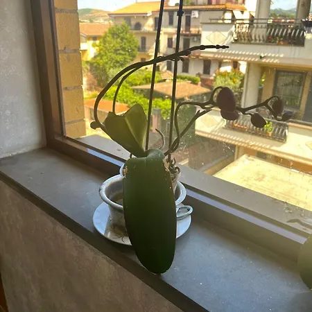 Al Capolinea 4* Rome