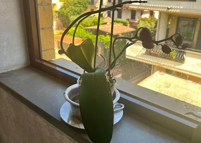 Al Capolinea 4* Ρώμη